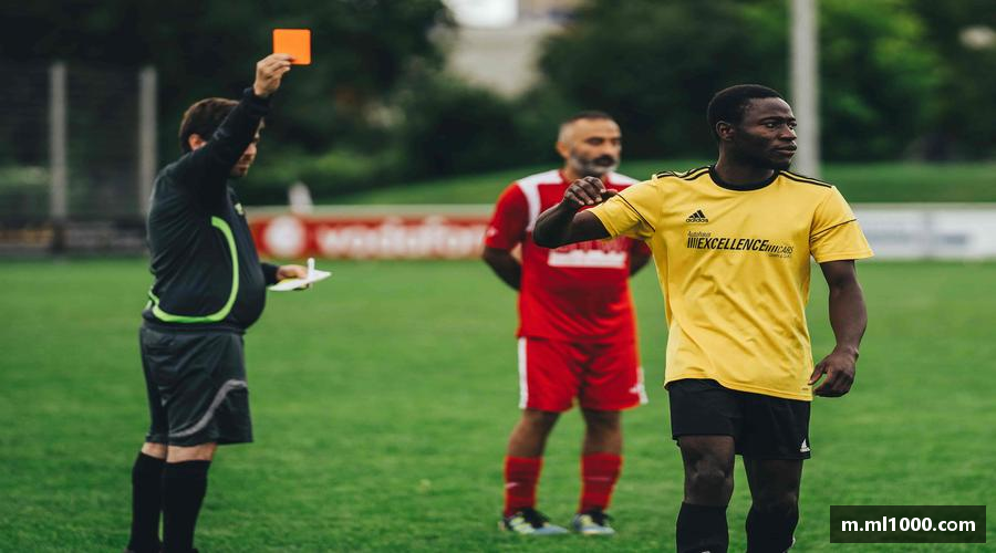 333体育平台挑战颠峰，践行拼搏